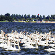 Vaargids Randmeren, Flevoland en NW-Overijssel